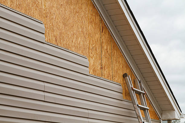 Professional Vinyl Siding technician working in Damascus, MD